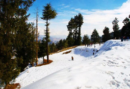 shimla