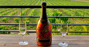 Wine Tour Packages